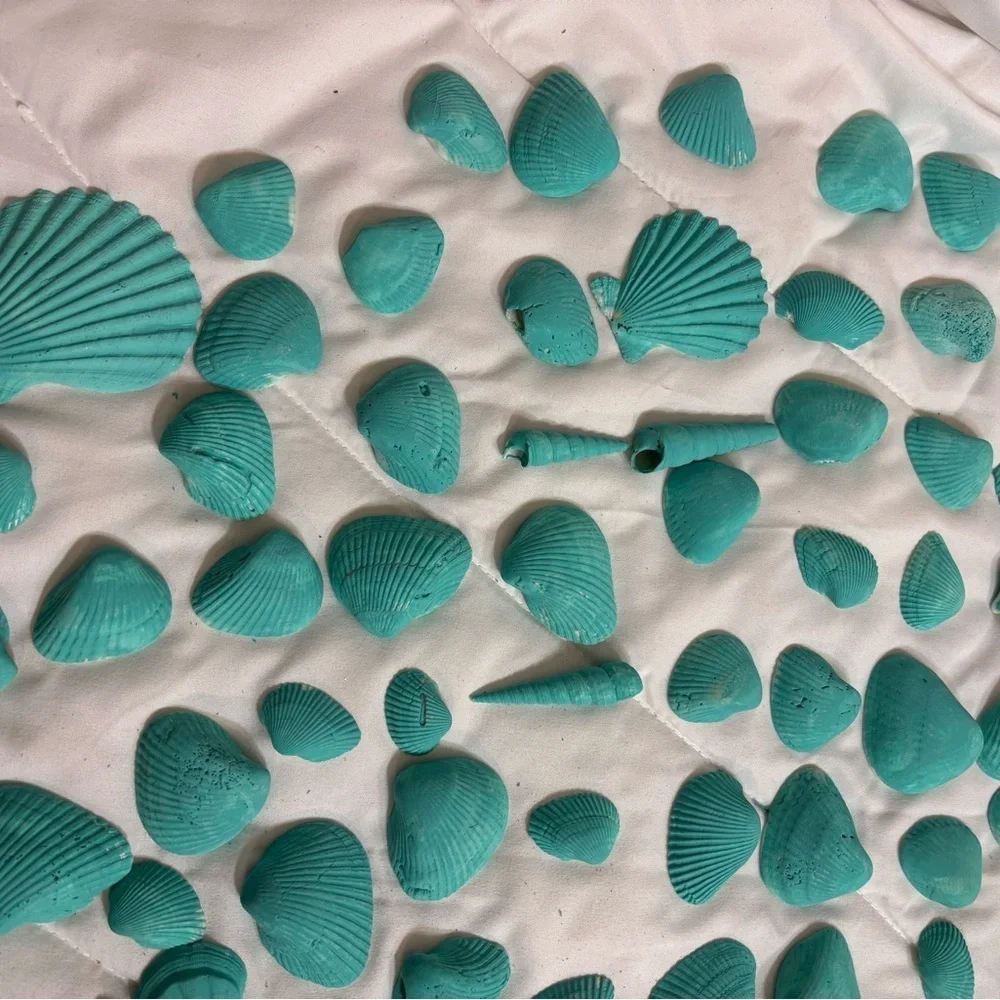161 Aqua Teal Painted Real Seashells For Decorating Or Center Pieces